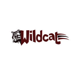 Wildcat Boat Logo entry by jjponsica