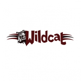 Wildcat Boat Logo entry by jjponsica