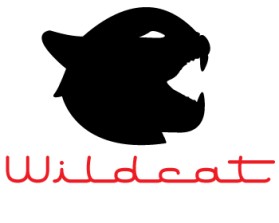 Wildcat Boat Logo entry by zsolti