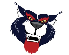 Wildcat Boat Logo entry by JINKODESIGNS