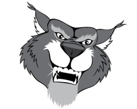 Wildcat Boat Logo entry by JINKODESIGNS