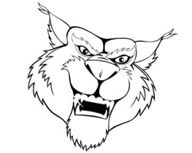 Wildcat Boat Logo entry by JINKODESIGNS