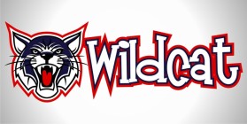 Wildcat Boat Logo entry by Digiti Minimi