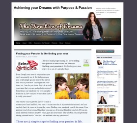 The Direction of Dreams entry by drake