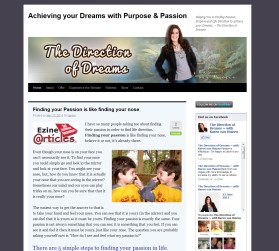The Direction of Dreams entry by drake