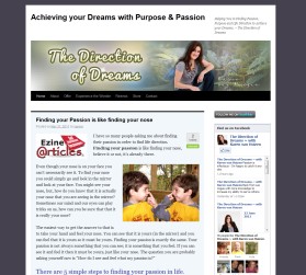 The Direction of Dreams entry by drake