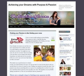 The Direction of Dreams entry by drake