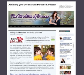 The Direction of Dreams entry by drake