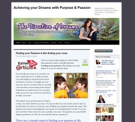 The Direction of Dreams entry by drake