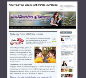 The Direction of Dreams entry by drake