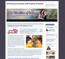 The Direction of Dreams entry by drake