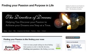 The Direction of Dreams entry by Ayos