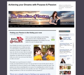 The Direction of Dreams entry by drake