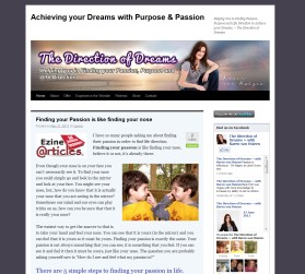 The Direction of Dreams entry by drake