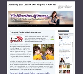 The Direction of Dreams entry by drake