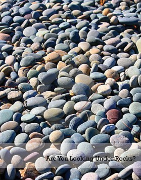 Graphic Design entry 378498 submitted by bluegirl