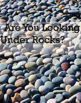 Graphic Design entry 380871 submitted by bluegirl