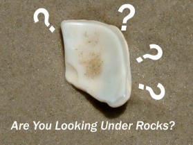 Graphic Design entry 381246 submitted by kuzuma