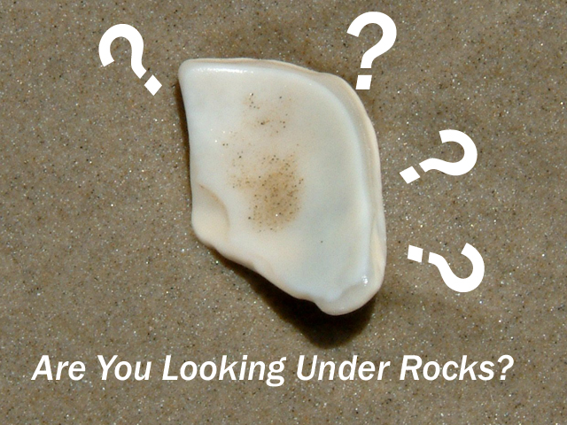 Graphic Design entry 381246 submitted by kuzuma