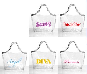 Clear Handbags & More entry by Valeska