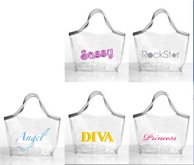 Clear Handbags & More entry by Valeska