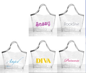 Clear Handbags & More entry by Valeska