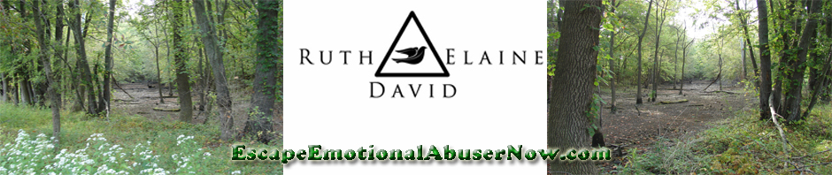 Banner Ad Design entry 396676 submitted by swhoosier