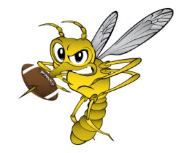 Mosquito Bowl Flag Football Tournament entry by TROY DEARMON