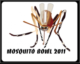 Mosquito Bowl Flag Football Tournament entry by Meri Coury