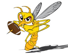 Mosquito Bowl Flag Football Tournament entry by TROY DEARMON