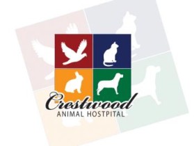 Crestwood Animal Hospital entry by an anonymous creative