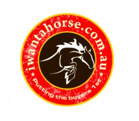 iwantahorse.com.au entry by chaksarts
