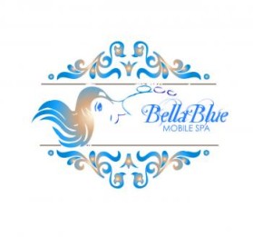 Bella blue mobile spa entry by schk