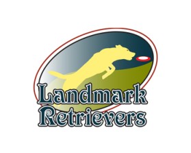 Landmark Retrievers entry by rey
