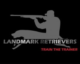 Landmark Retrievers entry by VincentW