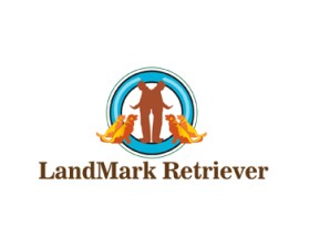 Landmark Retrievers entry by rey