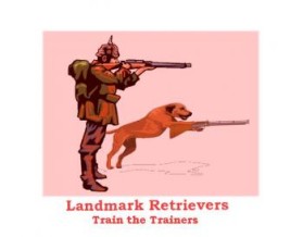 Landmark Retrievers entry by soumyasreejith