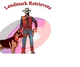 Landmark Retrievers entry by soumyasreejith