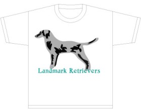 Landmark Retrievers entry by not2shabby
