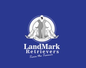 Landmark Retrievers entry by rey