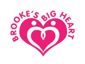 Brooke's Big Heart entry by hulagway