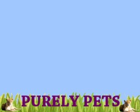 Purely Pets entry by Nicki_Mist