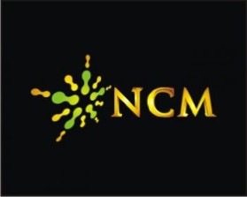 Najaf City Mall (NCM) entry by d_X