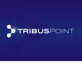 Tribus Point LLC entry by Dezigner
