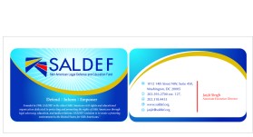 SALDEF (www.saldef.org) entry by access designs