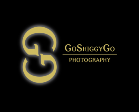 GoShiggyGo entry by designcanbeart