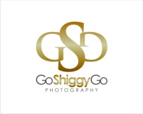 GoShiggyGo entry by phonic