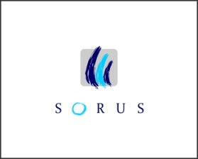 The Sorus Group entry by enan+graphics