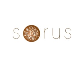 The Sorus Group entry by Ganbatte!