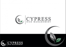 Cypress Risk Management entry by freya vonda